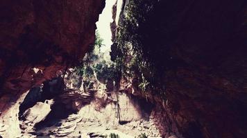 large fairy rocky cave with green plants video