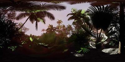 fotocamera vr360 che si muove in una foresta pluviale della giungla tropicale video