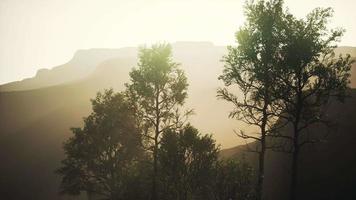 Scenic landscape with steep cliffs and trees during a sunny day video