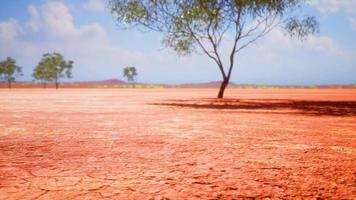 gebarsten zand in de zomer met de zon video