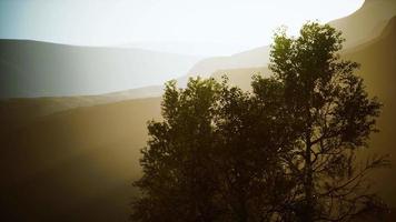 Malerische Landschaft mit steilen Klippen und Bäumen an einem sonnigen Tag video