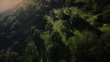 autumn morning with fog in mountains video