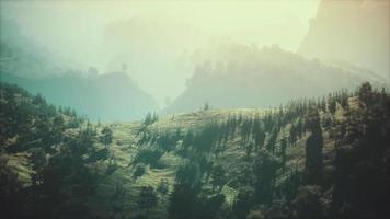 Herbstwald auf grünen felsigen Hügeln video