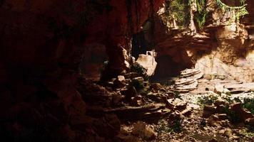 sunlight penetrates and illuminates the exit from the cave video