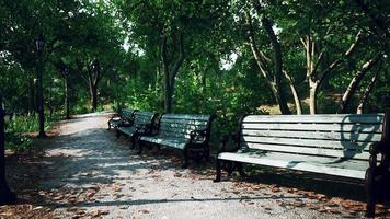 tomma bänkar på allmän park under utegångsförbud orsaken till koronaviruskarantän video