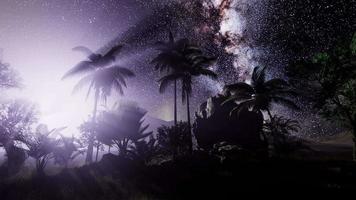 galaxie de la voie lactée au-dessus de la forêt tropicale. video