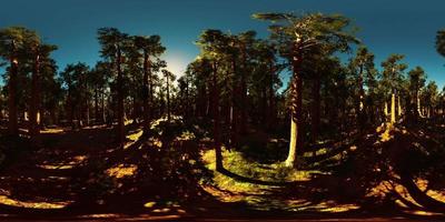 vr360 nel parco nazionale di sequoia video