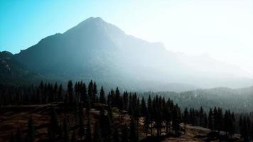 Aerial view over Mountain range with pine forest in Bavaria video