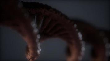 loopbare structuur van de DNA-dubbele helix-animatie video