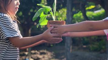 söt liten flicka ger sin syster en liten växt i en kruka med grön bakgrund vårekologikoncept. världs miljö dagen.