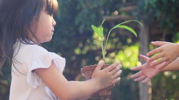 jolie petite fille donne à sa sœur une petite plante dans un pot avec un concept d'écologie de printemps sur fond vert. journée mondiale de l'environnement. video