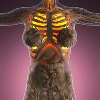 science anatomy of woman body with glow lungs photo