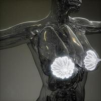 ilustración médica precisa de las glándulas mamarias de una mujer obesa foto