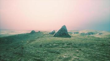 alpine meadow with rocks and green grass photo