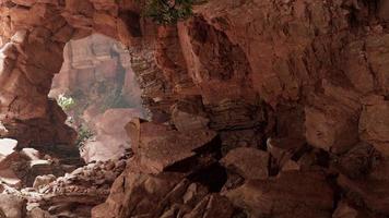 inside a limestone cave with plants and sun shine photo