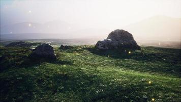 alpine meadow with rocks and green grass photo