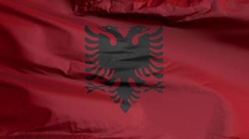 Albania flag seamless closeup waving animation. Albania Background. 3D render, 4k resolution video