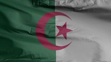 Algeria flag seamless closeup waving animation. Algeria Background. 3D render, 4k resolution video