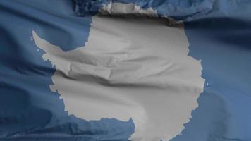 Antarctica flag closeup sem costura acenando animação. fundo da Antártida. renderização 3D, resolução 4k video