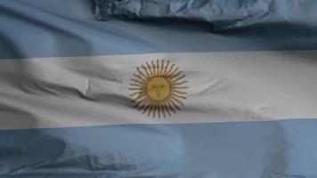 Argentina flag seamless closeup waving animation. Argentina Background. 3D render, 4k resolution