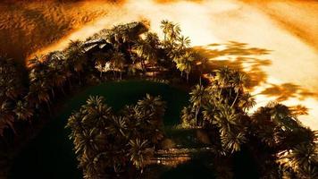 top down aerial view of oasis in desert photo