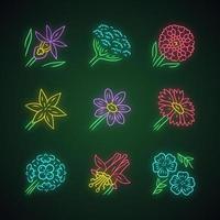 Wild flowers neon light icons set. Orchid, cow parsnip, candytuft, star lily, coreopsis, franciscan wallflower, crimson columbine, blue flax, blanket flower. Glowing vector isolated illustrations