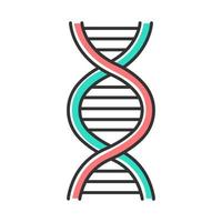 DNA helix color icon. Deoxyribonucleic, nucleic acid structure. Spiraling strands. Chromosome. Molecular biology. Genetic code. Genome. Genetics. Medicine. Isolated vector illustration