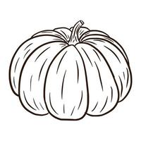 Line Art Fairytale Squash Illustration. Autumn gourd Icon. Ripe pumpkin sketch. Cartoon Style. Element for autumn decorative design, halloween invitation, harvest, sticker, print, logo, menu, recipe vector