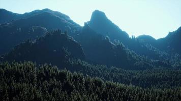 Wide angle shot of mountains landscape with spring forest photo