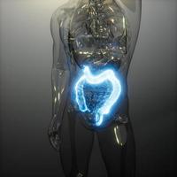 examen de radiología de colon humano