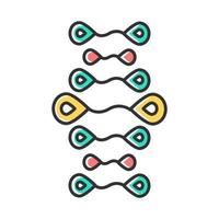 DNA strands color icon. Deoxyribonucleic, nucleic acid helix. Spiraling strands. Chromosome. Molecular biology. Genetic engineering. Genome. Genetics. Medicine. Isolated vector illustration