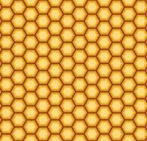 Orange vector seamless honey combs pattern. Honeycomb texture, hexagonal honeyed comb vector background