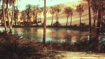 Oasis in hot Sahara Desert photo