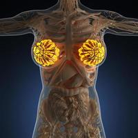 ciencia anatomía del cuerpo humano con glándula mamaria resplandeciente foto