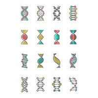 DNA helix color icons set. Deoxyribonucleic, nucleic acid structure. Spiraling strands. Chromosome. Molecular biology. Genetic code. Genome. Genetics. Medicine. Isolated vector illustrations