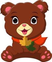 Cartoon cute baby bear in scarf holding a leaves vector