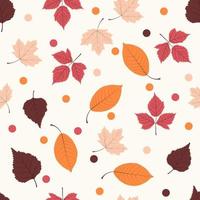 Seamless pattern with autumn leaves vector