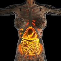 science anatomy of woman body with glow digestive system photo