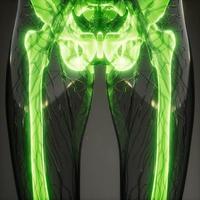 Transparent Human Body with Visible Bones photo