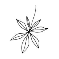 Hand drawn tropical leaf in doodle style. Palm branch vector illustration isolated on white background