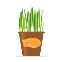 Grass in a flower pot for cats. vector