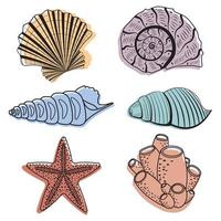 A set of colored seashells. Isolated vector illustration on a white background