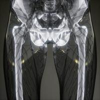 Transparent Human Body with Visible Bones photo