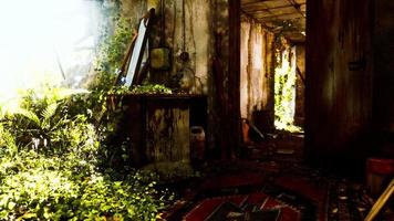 ruined abandoned overgrown by plants interior photo