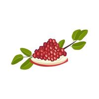 Piece of red pomegranate with corns and branches with leaves. Useful fruits for proper nutrition. Sweet food for diet. Vector flat illustration