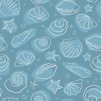 Seamless pattern summer time. Hand drawn sea shells and stars collection. Marine illustration of ocean shellfish. vector