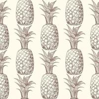 Pineapple fruit sketch seamless pattern. Exotic tropical fruit backdrop. vector