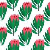 Isolated seamless botanic pattern with doodle pink protea flower and green leaves. White background. vector