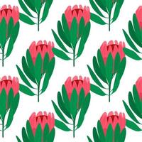 Isolated seamless botanic pattern with doodle pink protea flower and green leaves. White background. vector