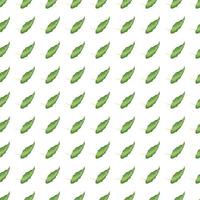 Modern tropical seamless pattern with green leaves isolated on white background. vector